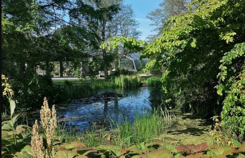 University of Dundee Botanic Garden, United Kingdom